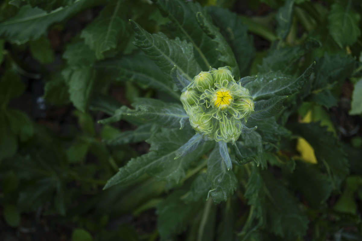 �������� ������� ����� ������� ��������� �� PhotoGeek.ru #������ ��� �������