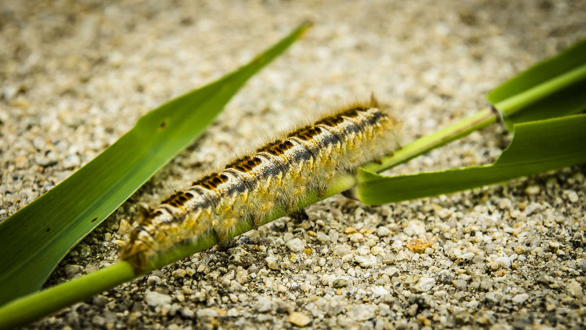 �� ��� ��������� ����� ������� ��������� �� PhotoGeek.ru #������ ��� �������