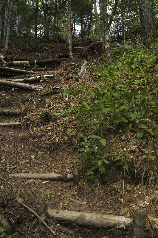 ������� � �������� ����� ������� ��������� �� PhotoGeek.ru #������ ��� �������