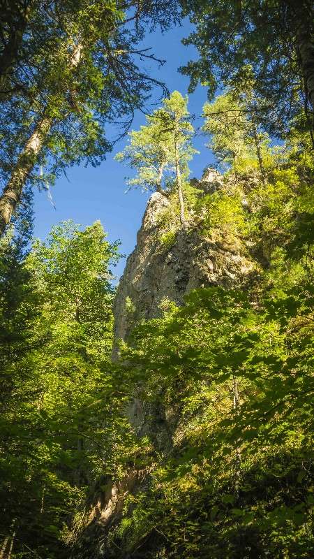 ����� ������� ������ ����� ������� ��������� �� PhotoGeek.ru #������ ��� �������