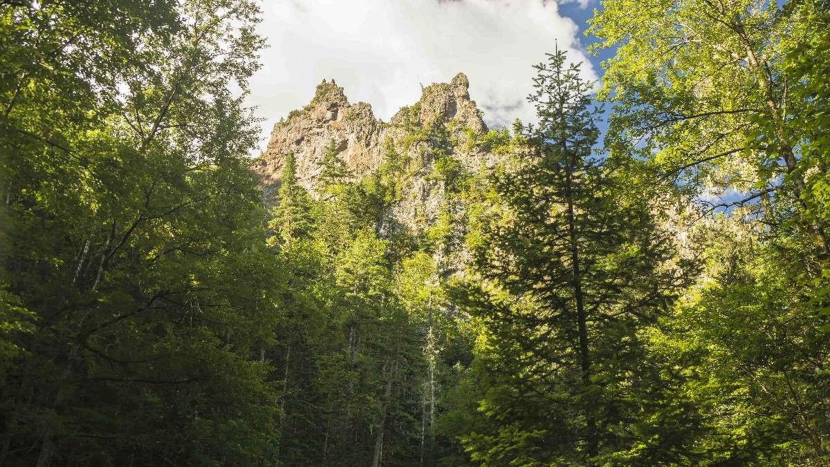 ���� ��� ������� ����� ������� ��������� �� PhotoGeek.ru #������ ��� �������