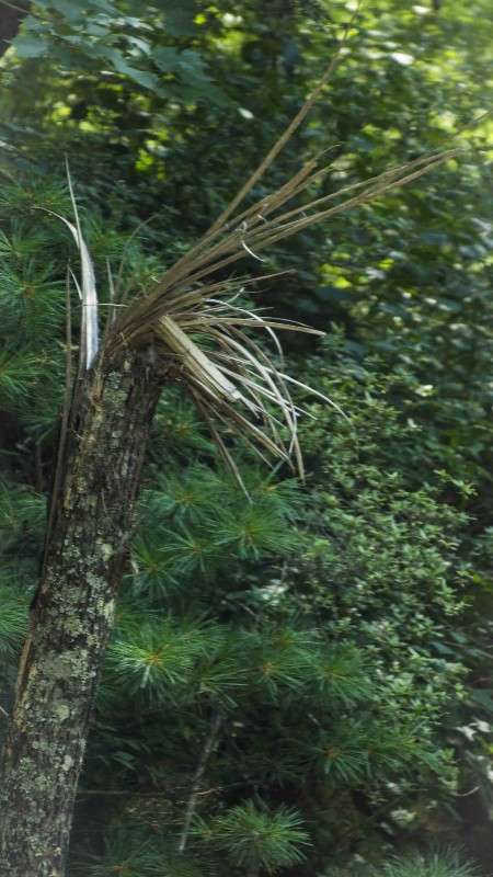 ������ ����� ������� ��������� �� PhotoGeek.ru #������ ��� �������