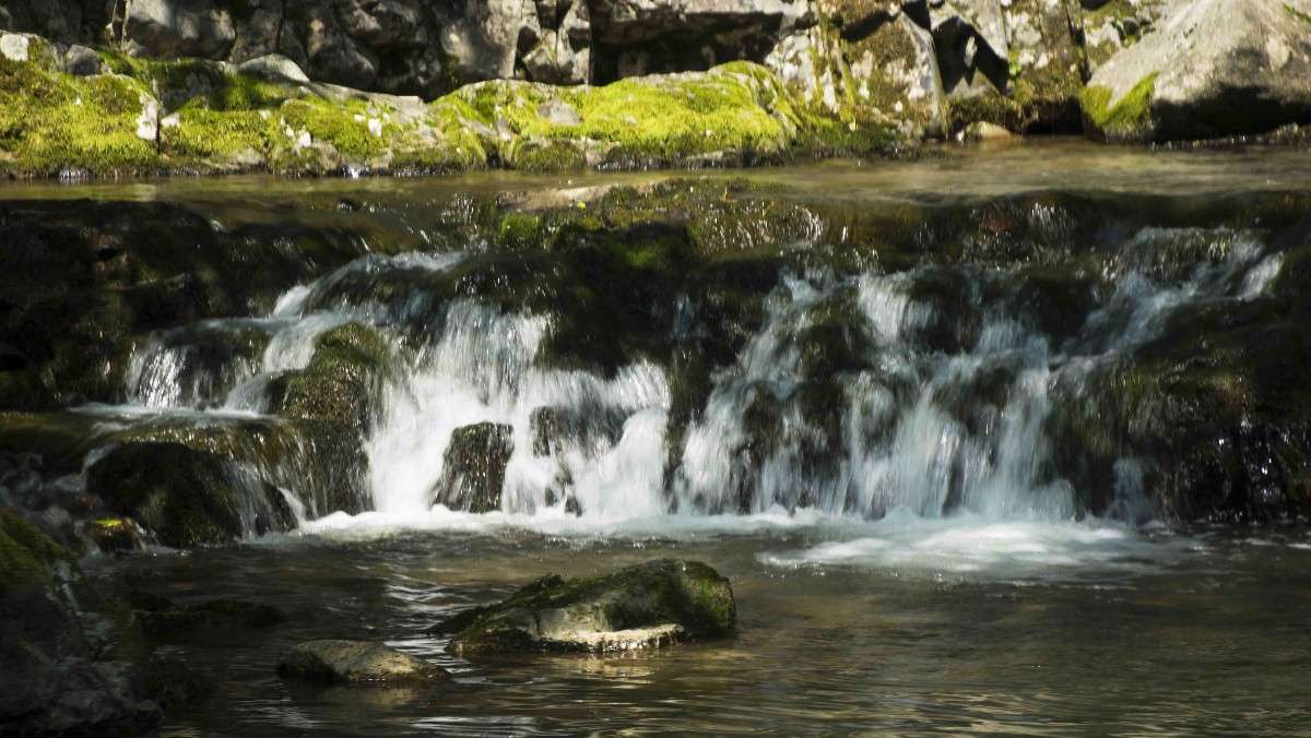 *** ����� ������� ��������� �� PhotoGeek.ru #������ ��� �������