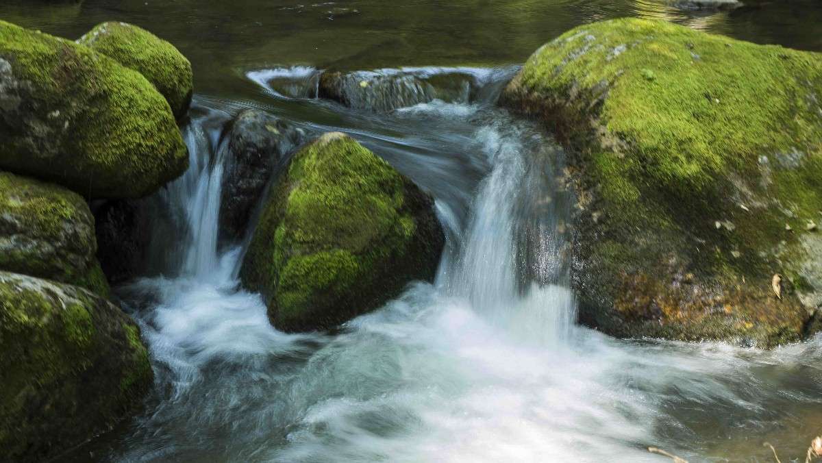 ... ����� ������� ��������� �� PhotoGeek.ru #������ ��� �������