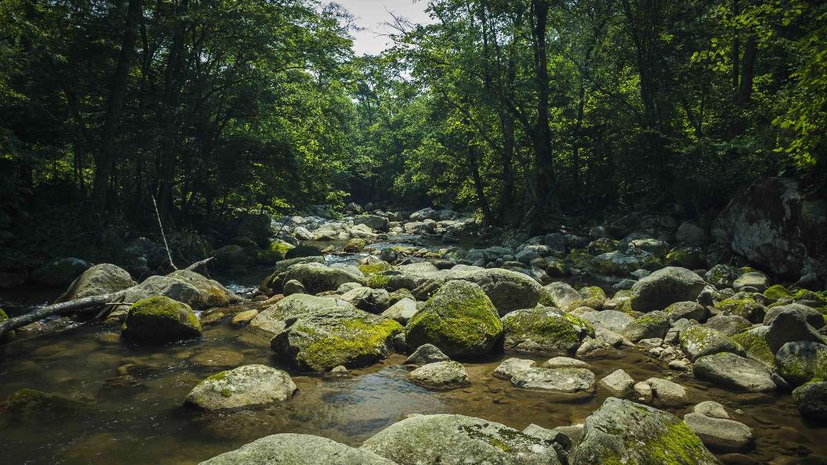 ��������... �����������... ����� ������� ��������� �� PhotoGeek.ru #������ ��� �������