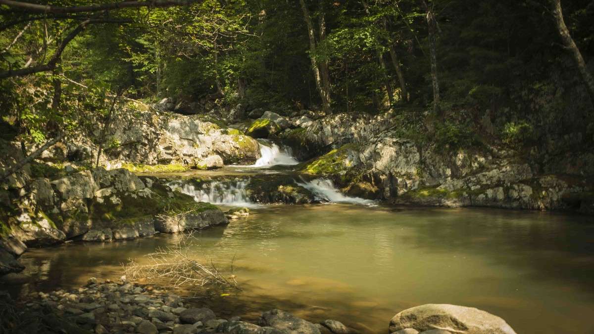 ����������� ���� ����� ������� ��������� �� PhotoGeek.ru #������ ��� �������