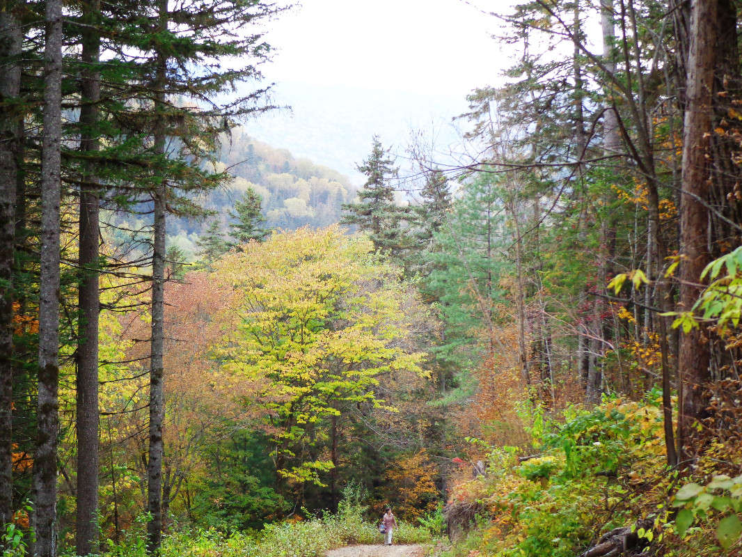 ������� ��������� 2 ����� ������� ��������� �� PhotoGeek.ru #������ ��� �������