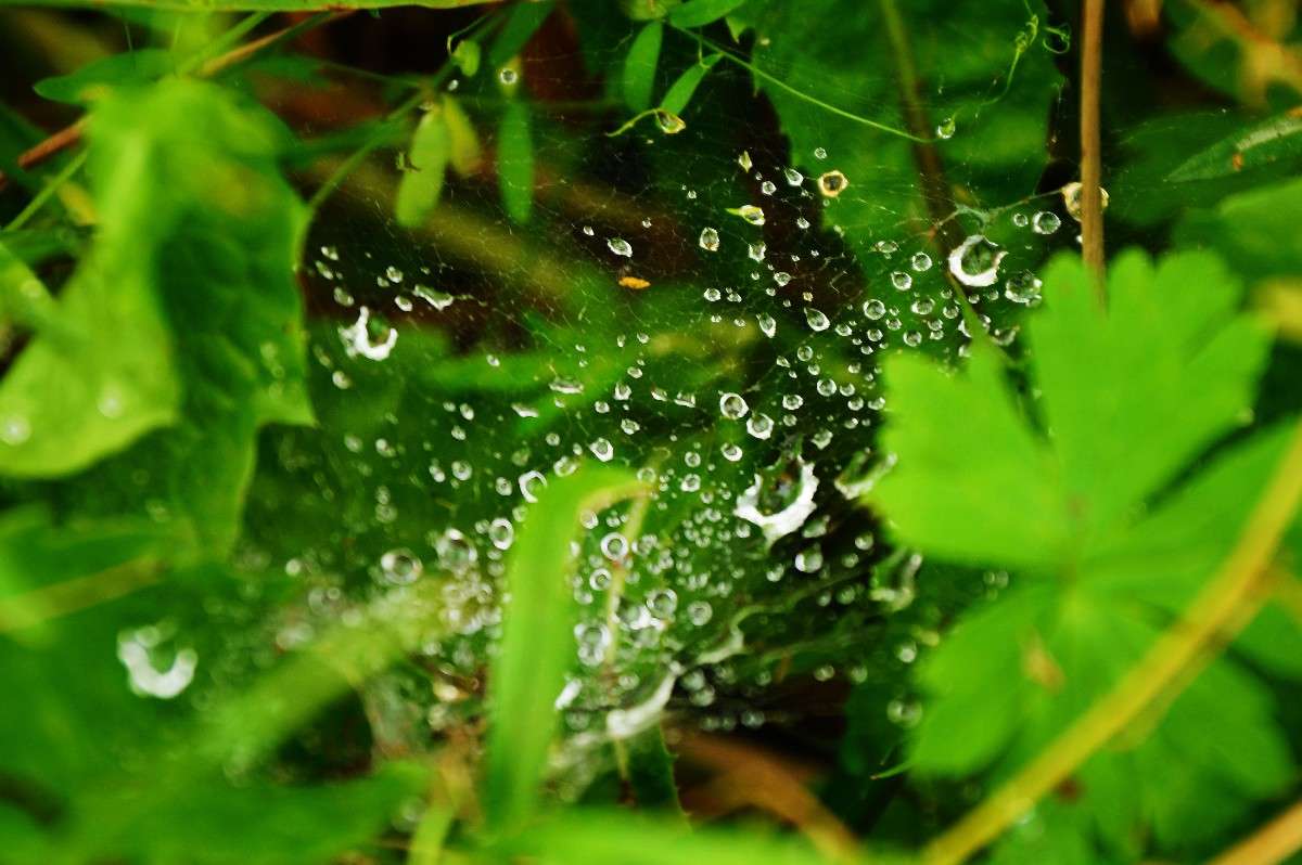 ����... ����� ������� ��������� �� PhotoGeek.ru #������ ��� �������