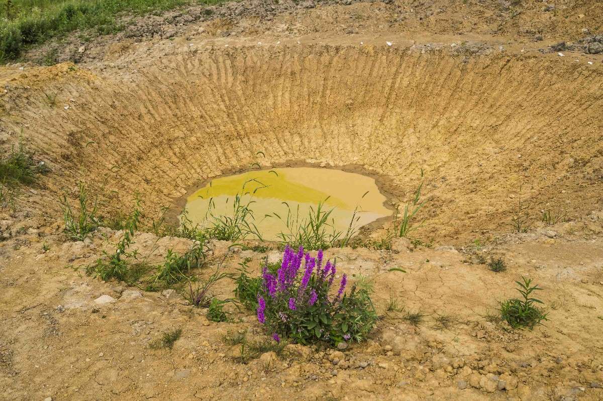 ����� ������.... ����� ������� ��������� �� PhotoGeek.ru #������ ��� �������