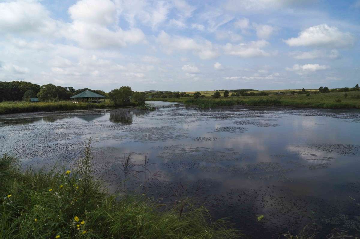 ������� � ������� ����� ������� ��������� �� PhotoGeek.ru #������ ��� �������