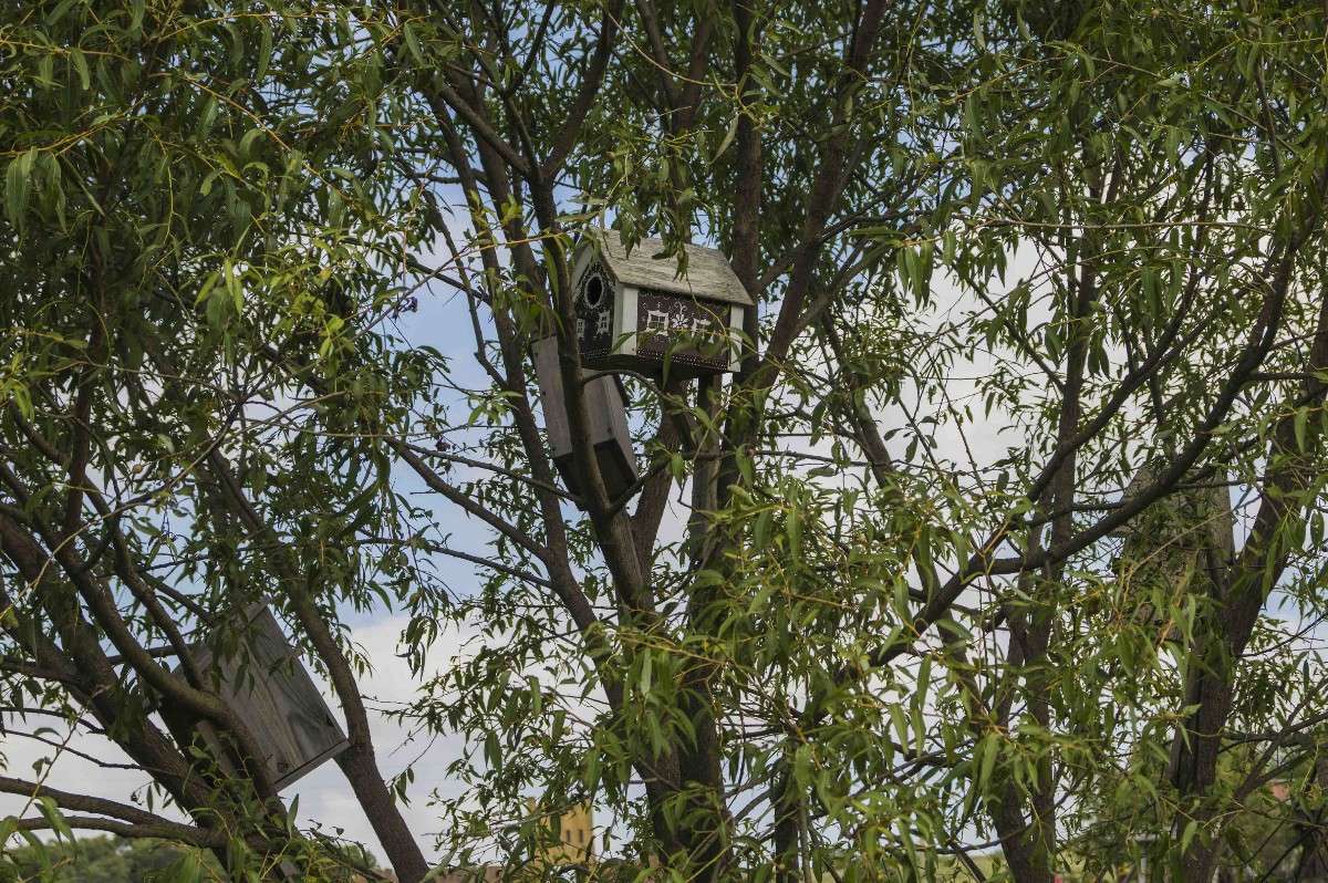 ������� �������� ����� ������� ��������� �� PhotoGeek.ru #�������� ���