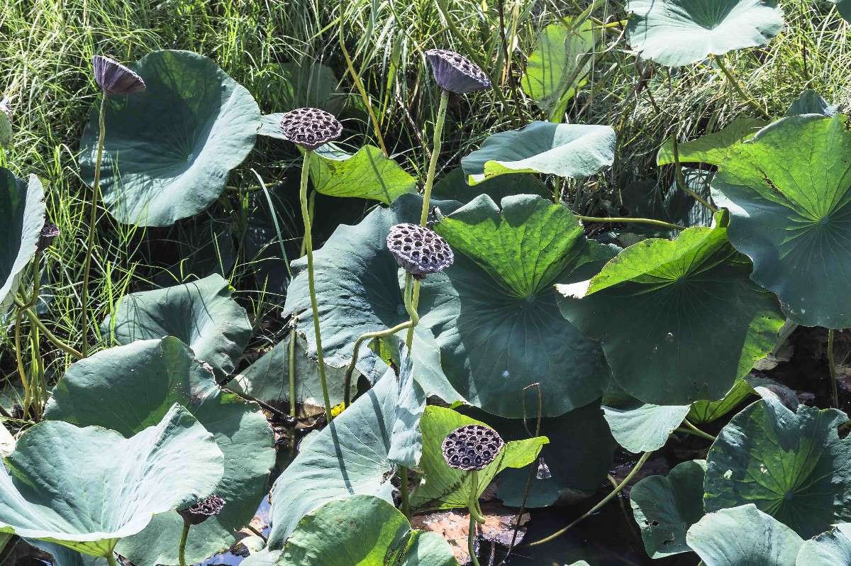 ������� ����� ������� ����� ������� ��������� �� PhotoGeek.ru #������ ��� �������