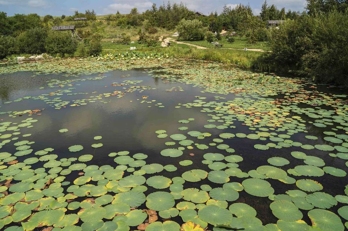 �������� ����� ������� ��������� �� PhotoGeek.ru #������ ��� �������