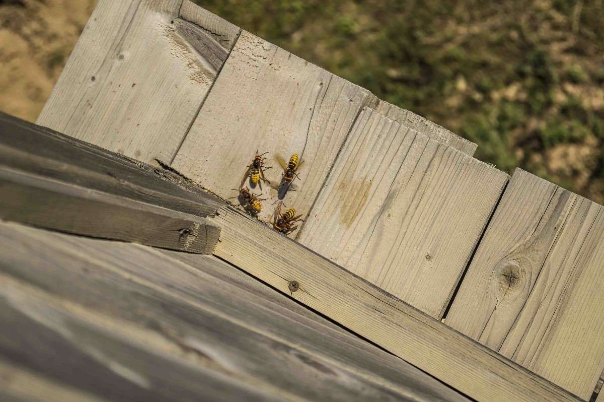 *** ����� ������� ��������� �� PhotoGeek.ru #�������� ���