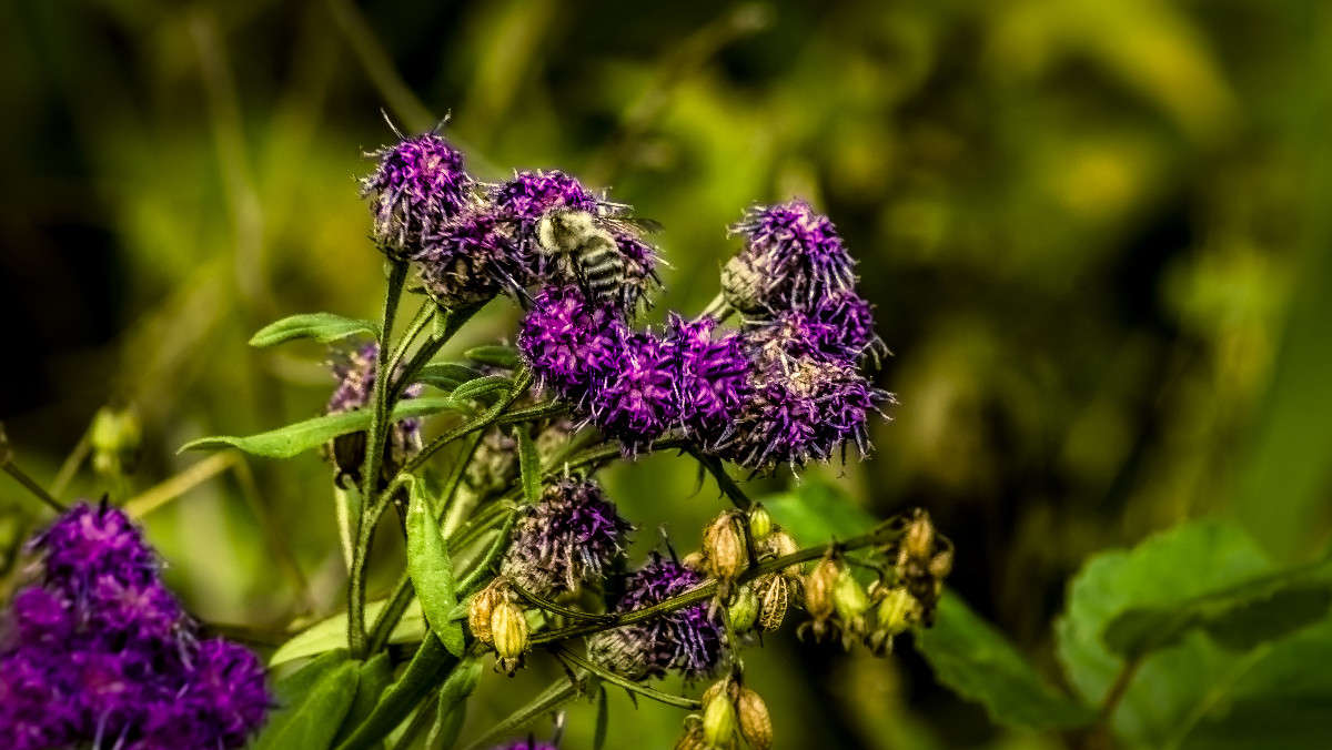 ������� ���� ����� ������� ��������� �� PhotoGeek.ru #������ ��� �������