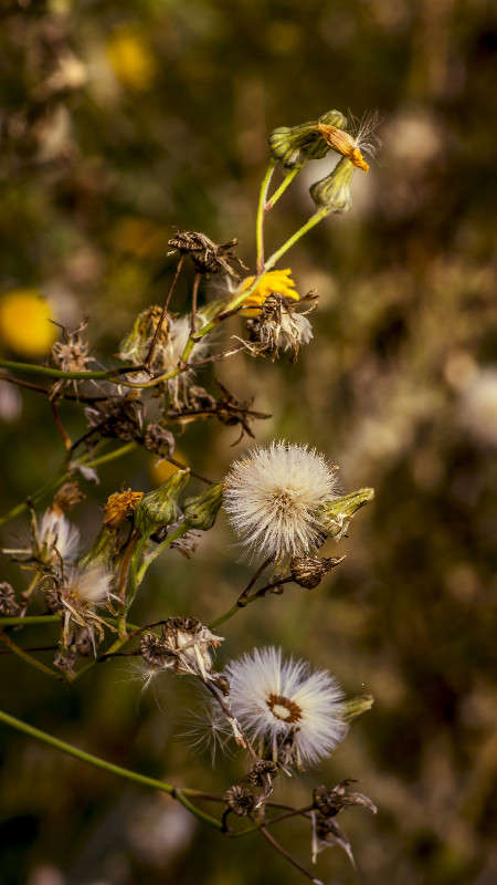 ������� ����� ������� ��������� �� PhotoGeek.ru #������ ��� �������