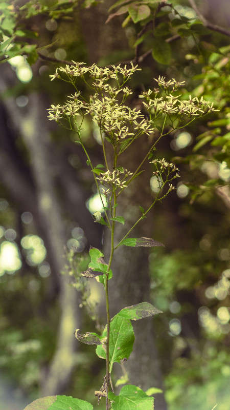 ������� ����� ������� ��������� �� PhotoGeek.ru #������ ��� �������