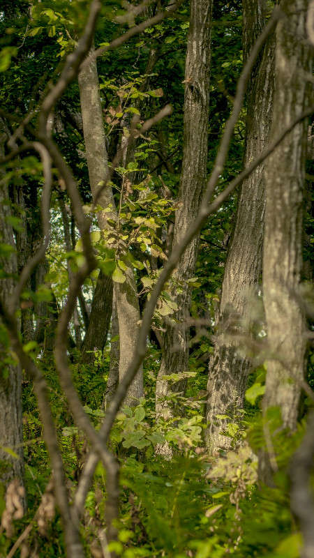 ���� � ���� ����� ������� ��������� �� PhotoGeek.ru #������ ��� �������