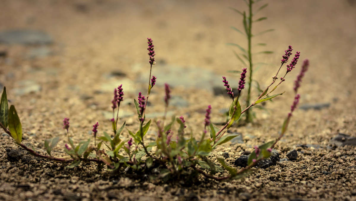 ������� ���� ����� ������� ��������� �� PhotoGeek.ru #������ ��� �������