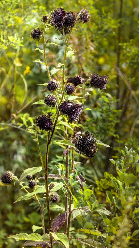 ������� ����� ������� ��������� �� PhotoGeek.ru #������ ��� �������