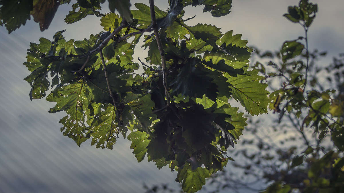 ������ ����� ����� ������� ��������� �� PhotoGeek.ru #������ ��� �������