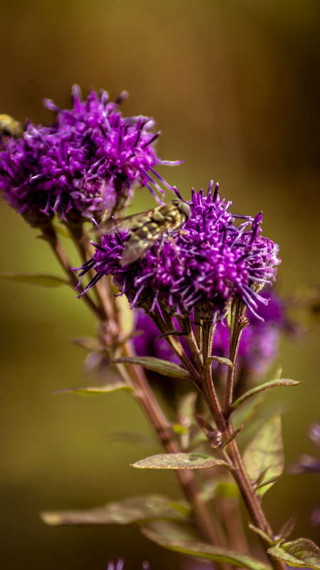 ��������� ���� ����� ������� ��������� �� PhotoGeek.ru #������ ��� �������