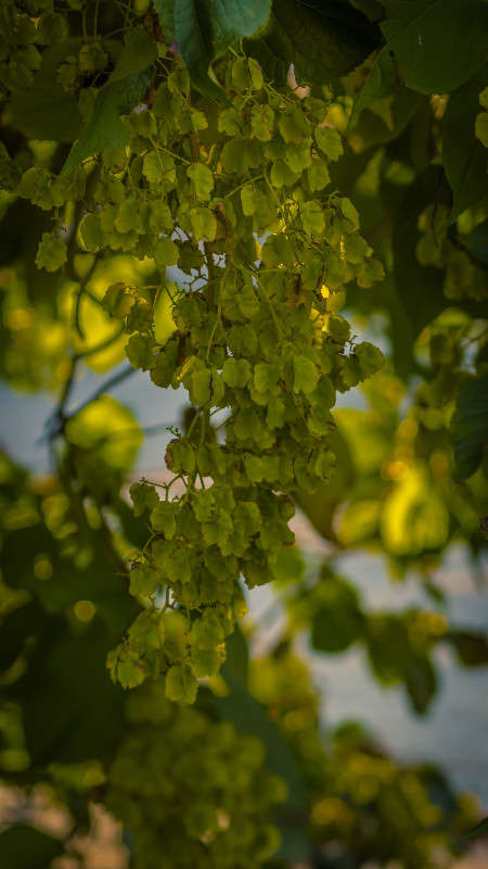 �������� ����� ������� ��������� �� PhotoGeek.ru #������ ��� �������