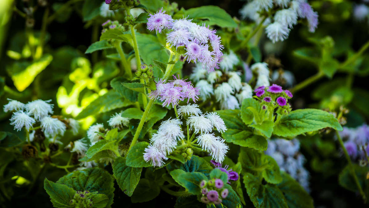 �������� ����� ������� ��������� �� PhotoGeek.ru #������ ��� �������