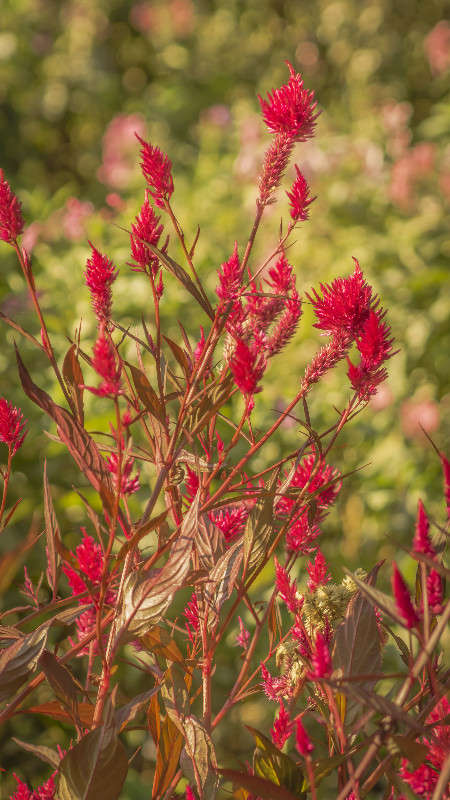 ������� ����� ������� ��������� �� PhotoGeek.ru #������ ��� �������