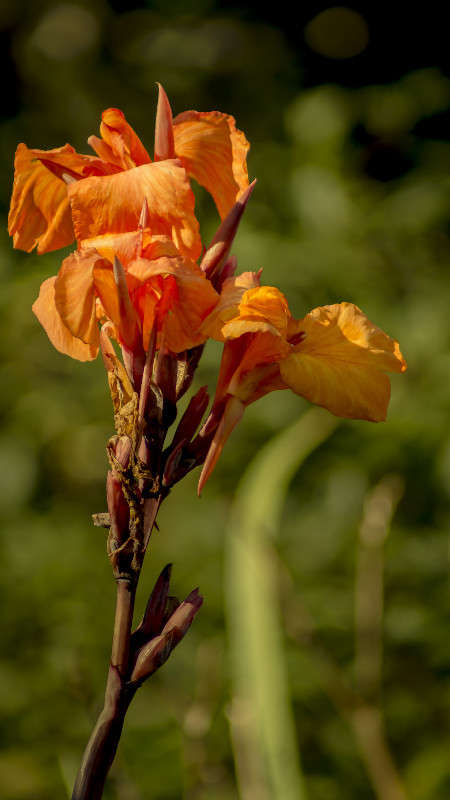 ������������� ����� ������� ��������� �� PhotoGeek.ru #������ ��� �������