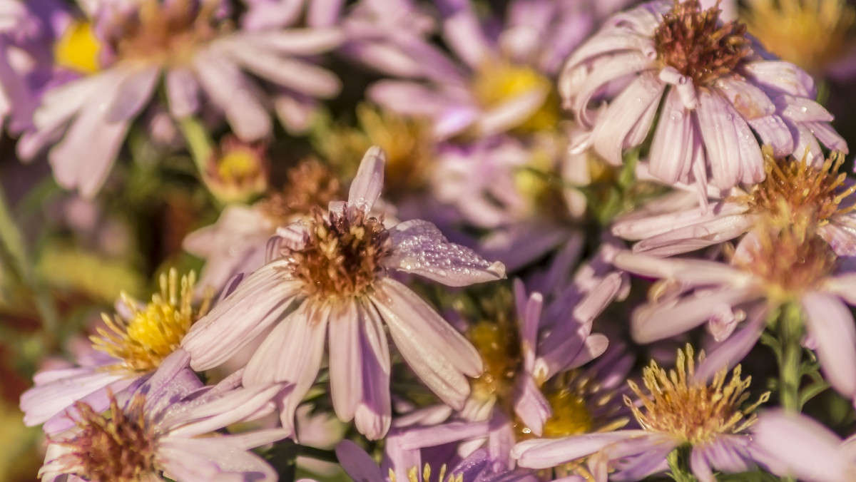 ����� ������� ����� ������� ��������� �� PhotoGeek.ru #������ ��� �������