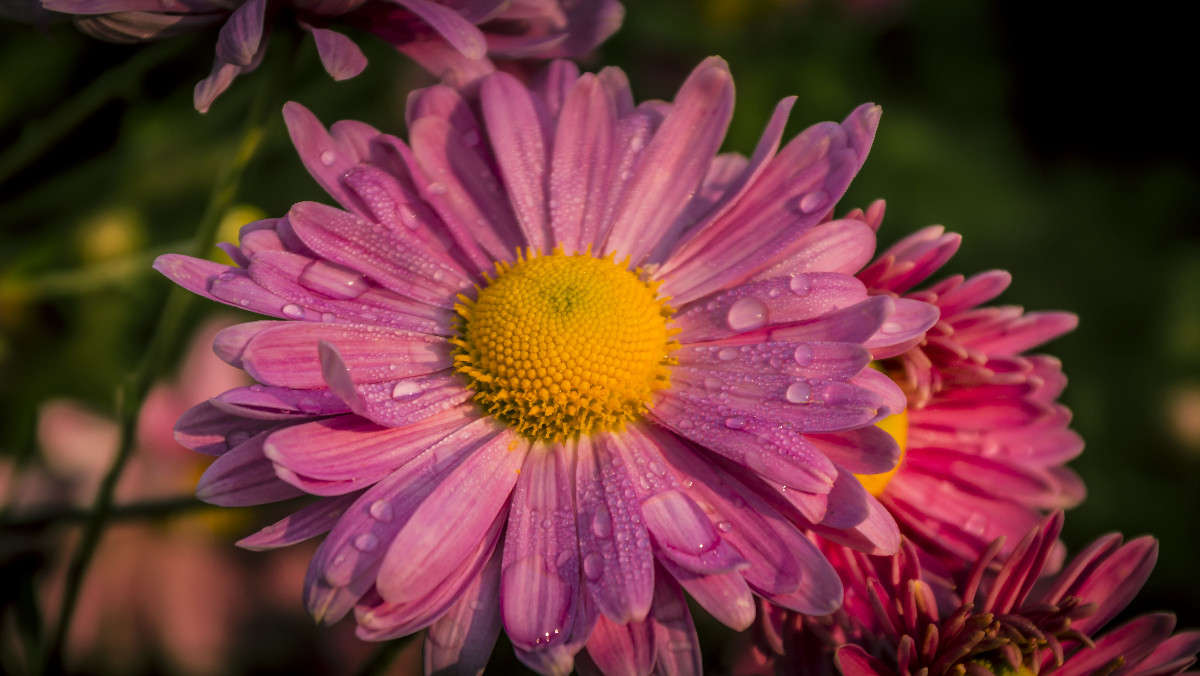 �������� � ����� ����� ������� ��������� �� PhotoGeek.ru #������ ��� �������