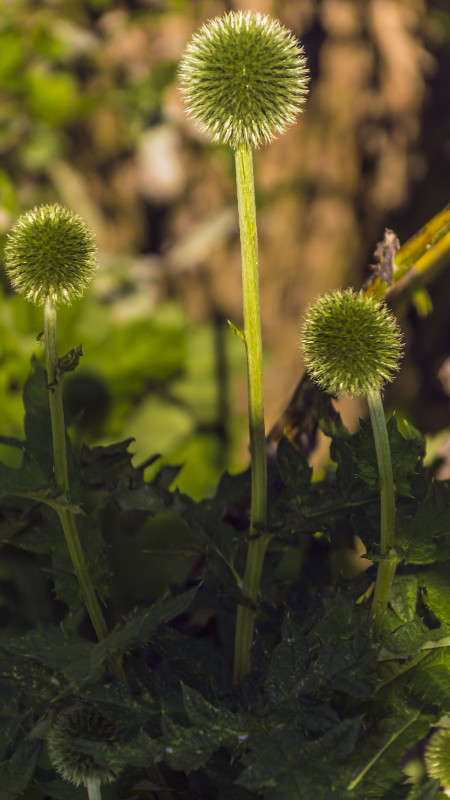 ��������� �� �����? ����� ������� ��������� �� PhotoGeek.ru #������ ��� �������