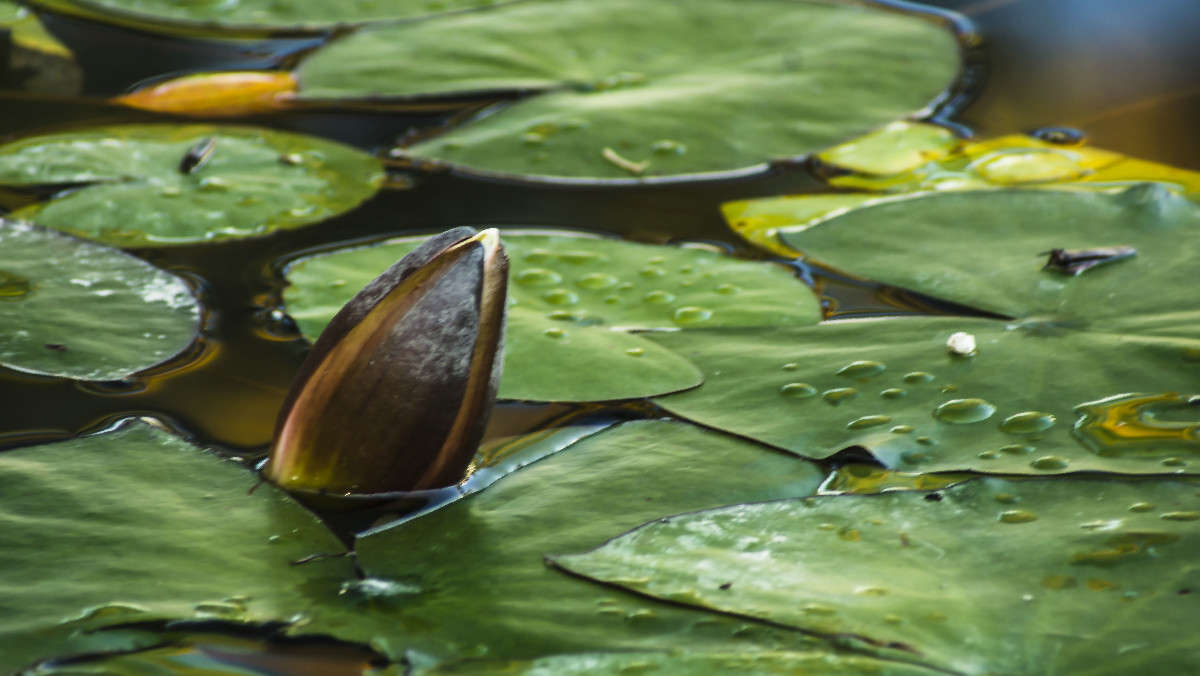 � ��������... ����� ������� ��������� �� PhotoGeek.ru #������ ��� �������