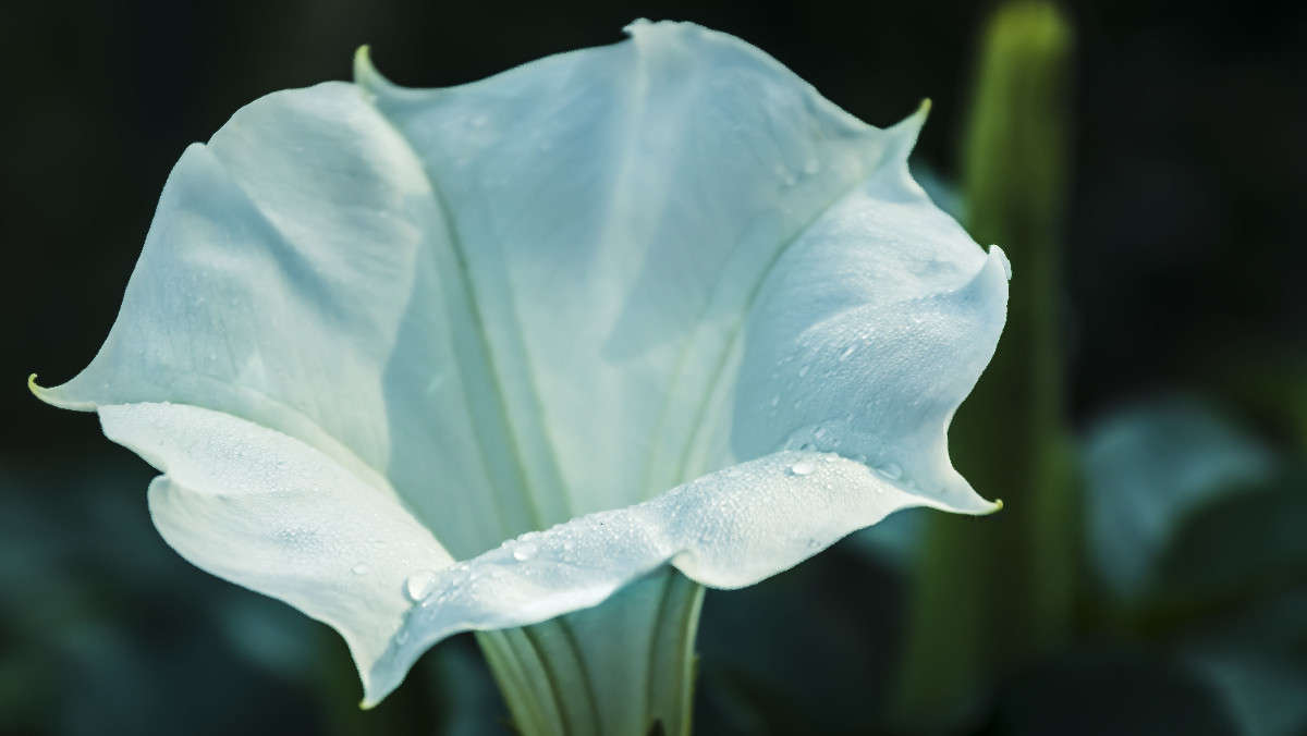 ������� ����� ������� ��������� �� PhotoGeek.ru #������ ��� �������