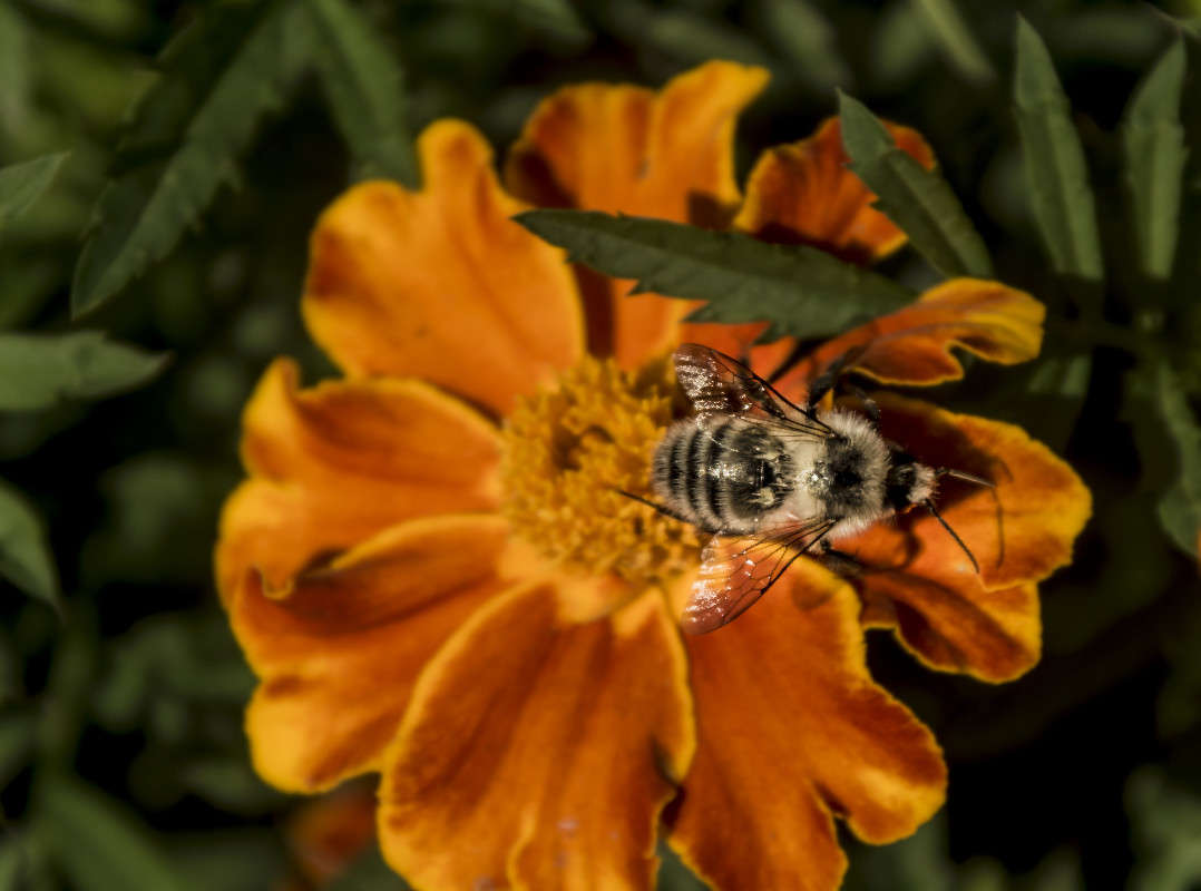 �������))) ����� ������� ��������� �� PhotoGeek.ru #������ ��� �������