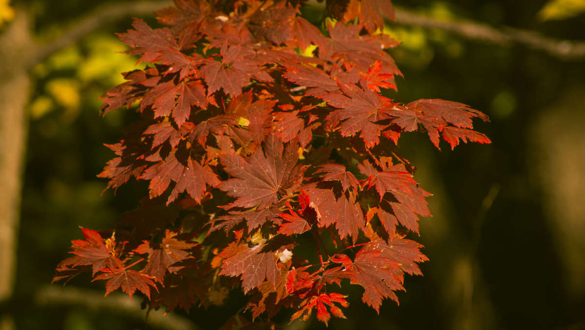 � � ��� ����� ������ ����� ������� ��������� �� PhotoGeek.ru #������ ��� �������