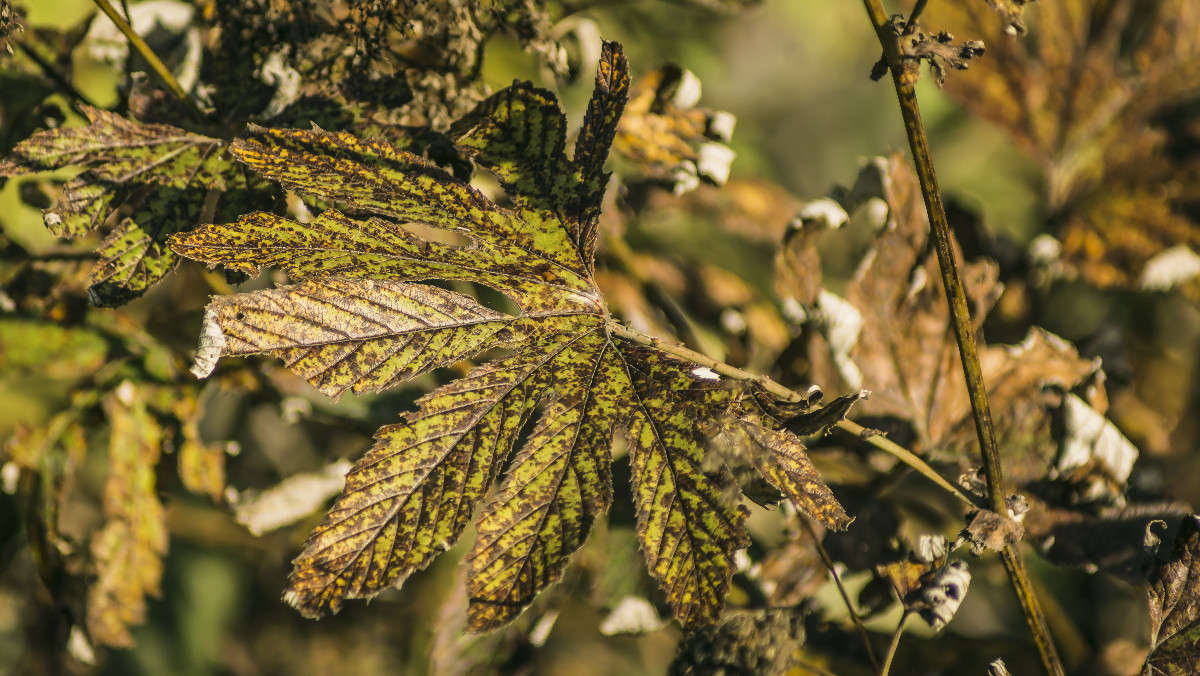 ������� ����� ����� ������� ��������� �� PhotoGeek.ru #������ ��� �������