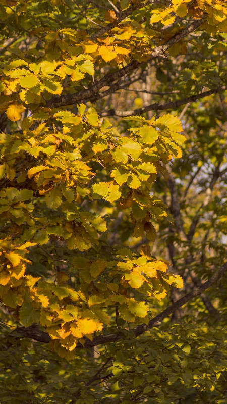 ������ ����� ����� ������� ��������� �� PhotoGeek.ru #������ ��� �������