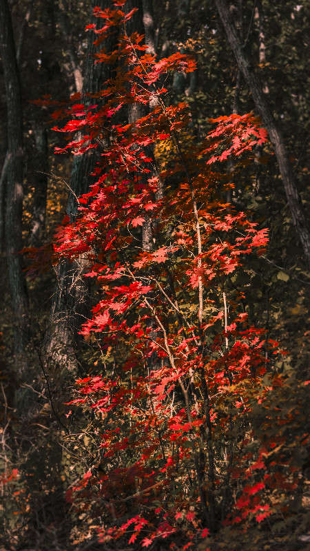 ������ ����� 3 ����� ������� ��������� �� PhotoGeek.ru #������ ��� �������