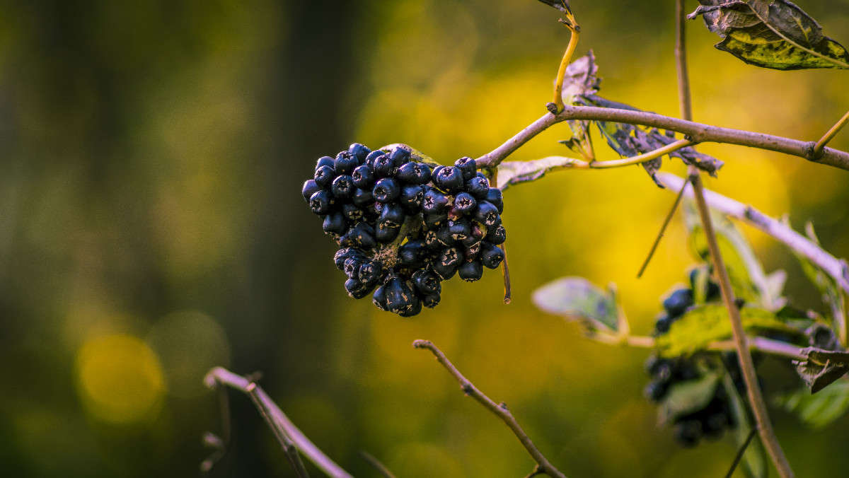 ������ ����� ������� ��������� �� PhotoGeek.ru #������ ��� �������