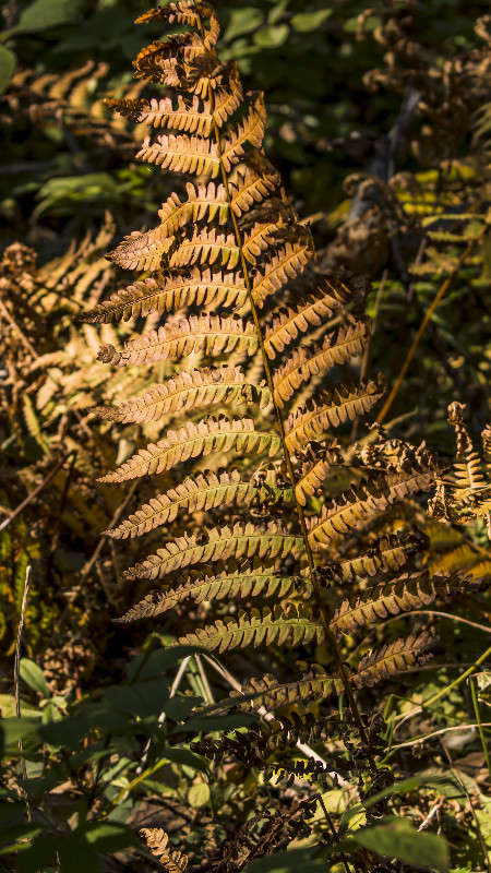 ����� �������� ����� ������� ��������� �� PhotoGeek.ru #������ ��� �������