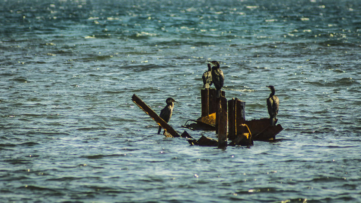 ��������� ���� ����� ������� ��������� �� PhotoGeek.ru #������ ��� �������