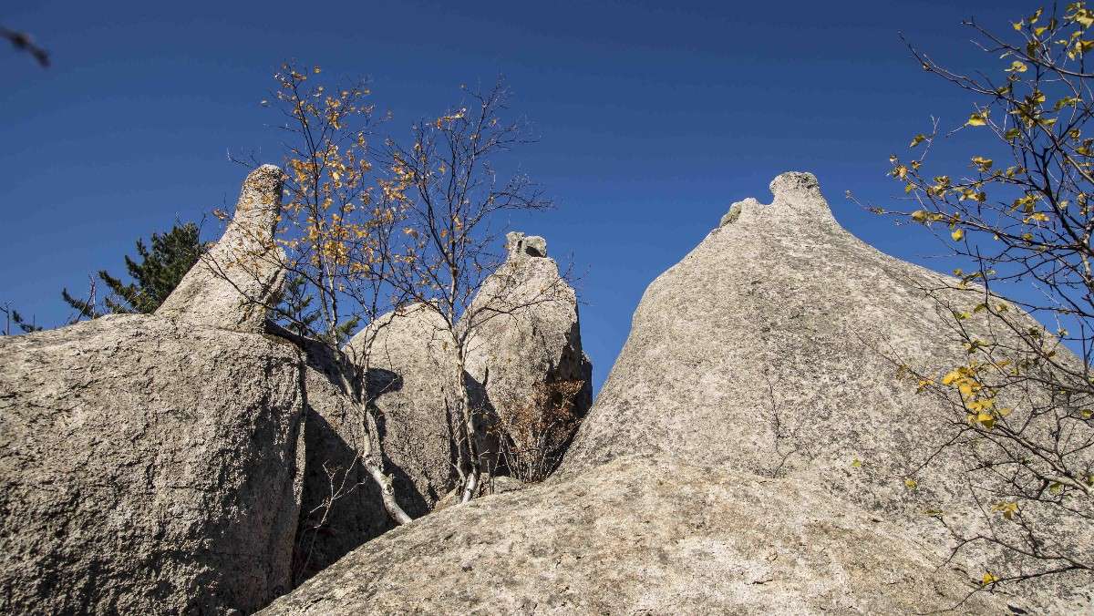 ��������� ����� ������� ��������� �� PhotoGeek.ru #������ ��� �������