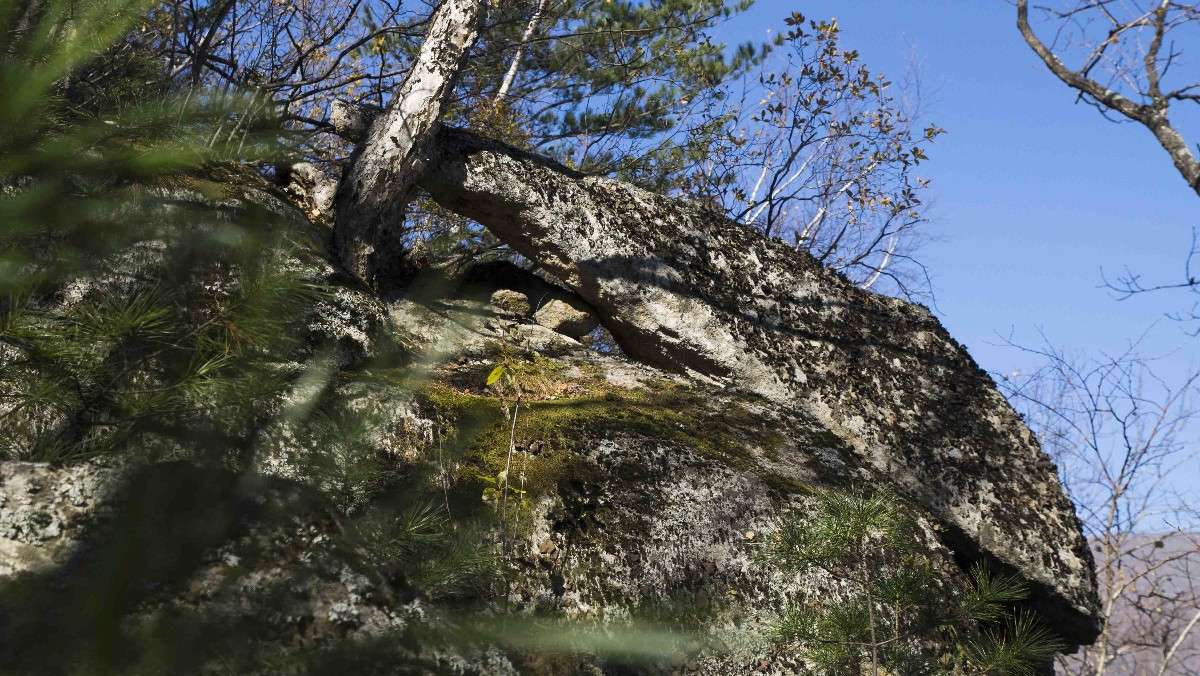 �������� ����� ������� ��������� �� PhotoGeek.ru #������ ��� �������