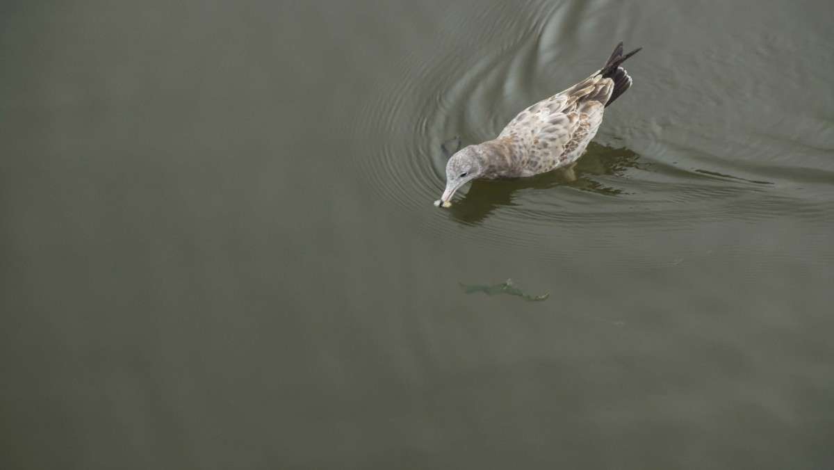 ���..���..���... ����� ������� ��������� �� PhotoGeek.ru #�������� ���