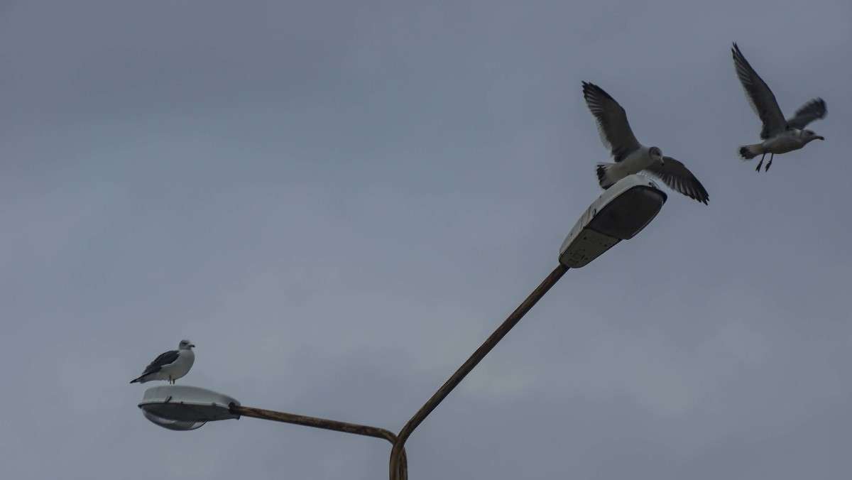 �� ����, �������?! ����� ������� ��������� �� PhotoGeek.ru #�������� ���