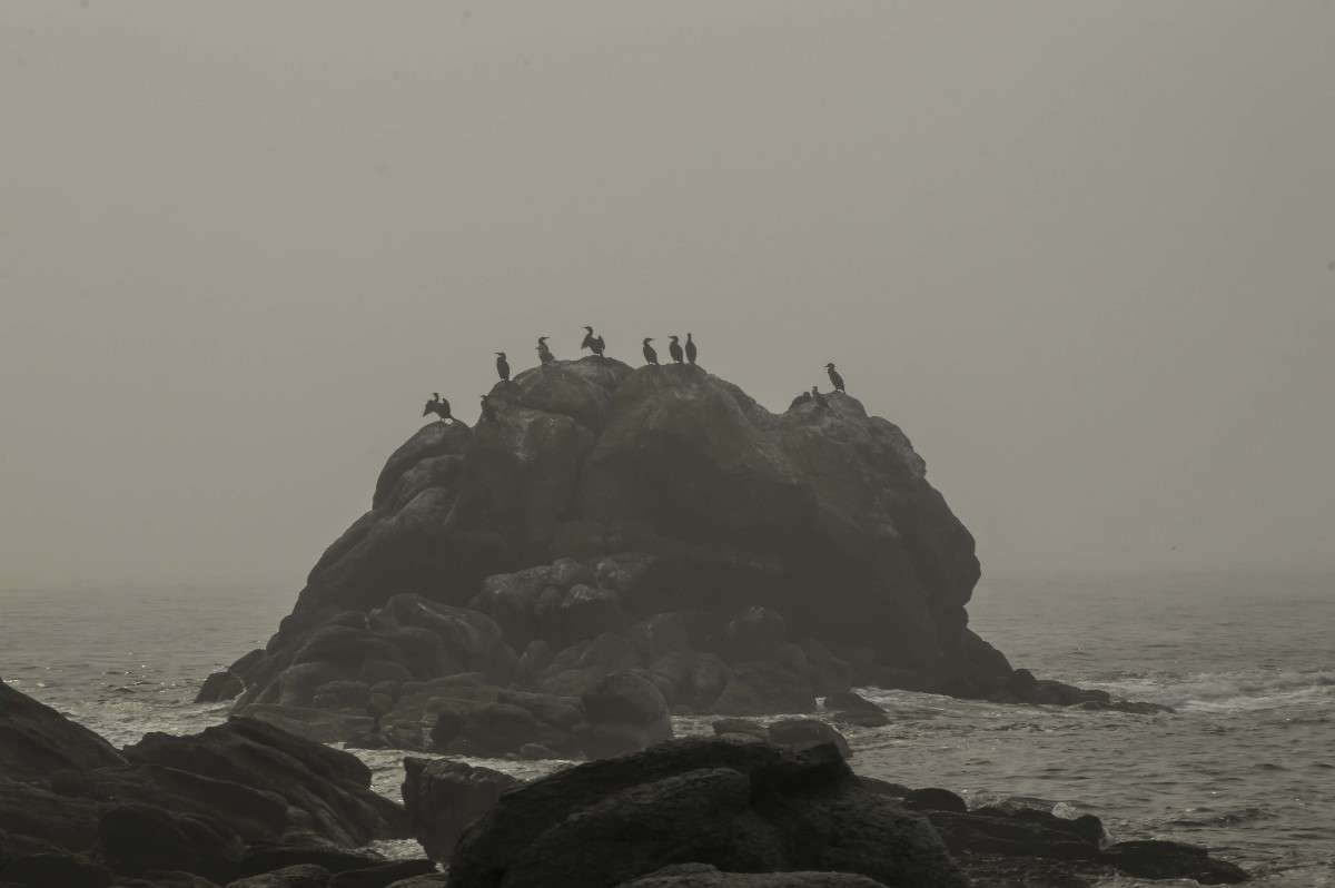 �������� �������� ����� ������� ��������� �� PhotoGeek.ru #�������� ��� #������ ��� �������