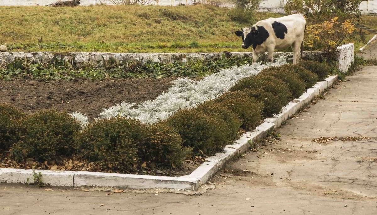 �� ������ ������� ��.... ����� ������� ��������� �� PhotoGeek.ru #�������� ���