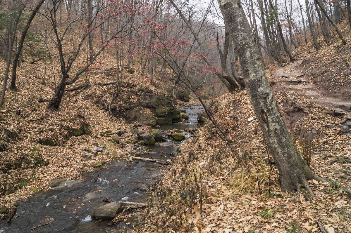 ������ ��������... ����� ������� ��������� �� PhotoGeek.ru #������ ��� �������